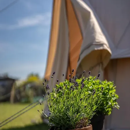 The Paddock Wildcamp Perranporth