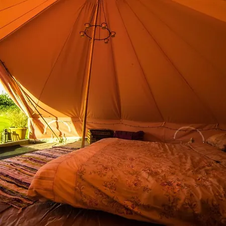 The Paddock Wildcamp