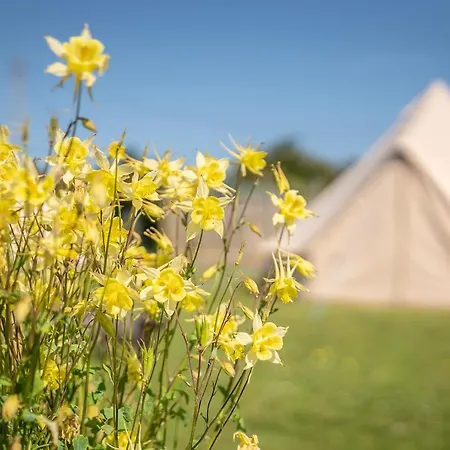 Οργανωμένο κάμπινγκ The Paddock Wildcamp *