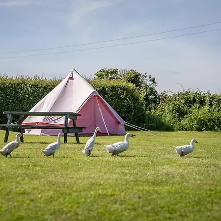 The Paddock Wildcamp Οργανωμένο κάμπινγκ *