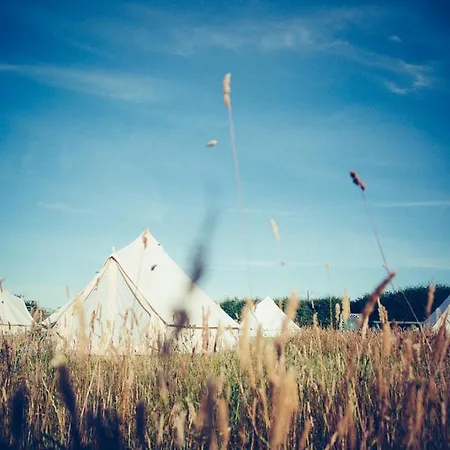 The Paddock Wildcamp Οργανωμένο κάμπινγκ *