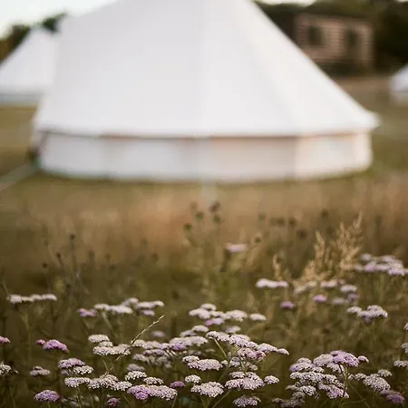 The Paddock Wildcamp * Perranporth